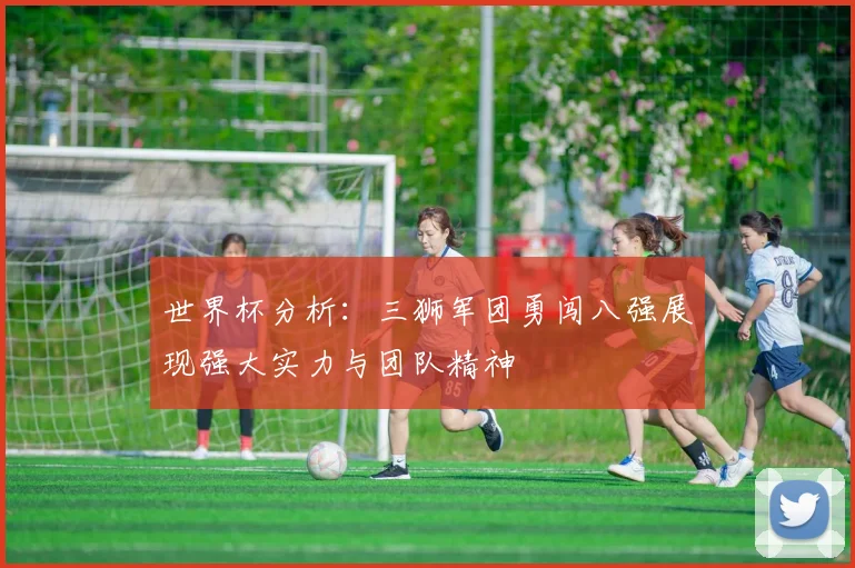 世界杯分析：三狮军团勇闯八强展现强大实力与团队精神