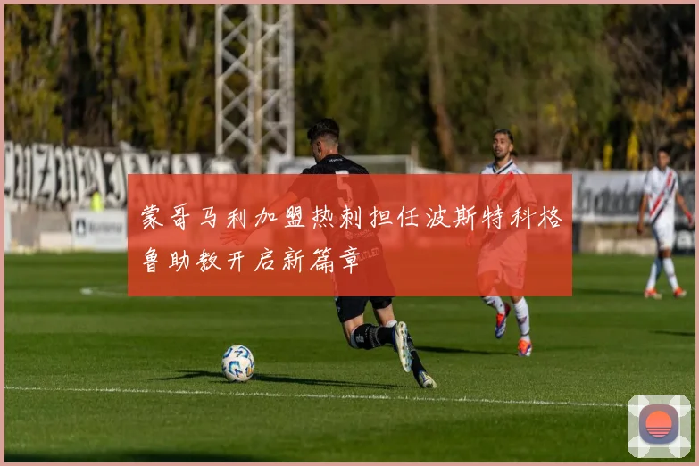 蒙哥马利加盟热刺担任波斯特科格鲁助教开启新篇章